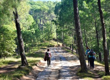 Chandragiri Champadevi Hike