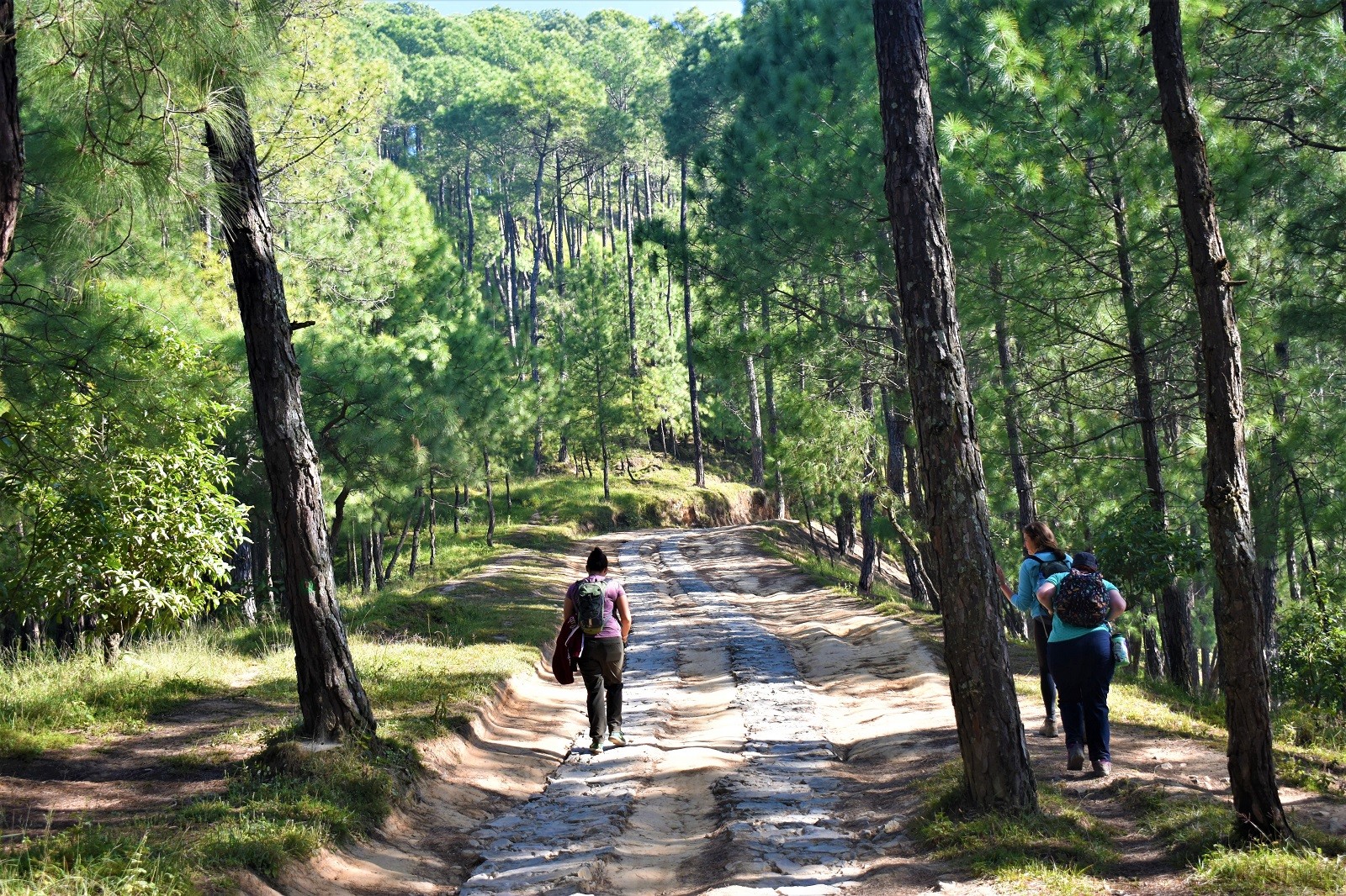 Chandragiri Champadevi Hike