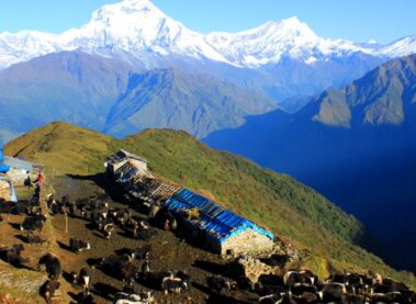 Dhaulagiri Circuit Trek