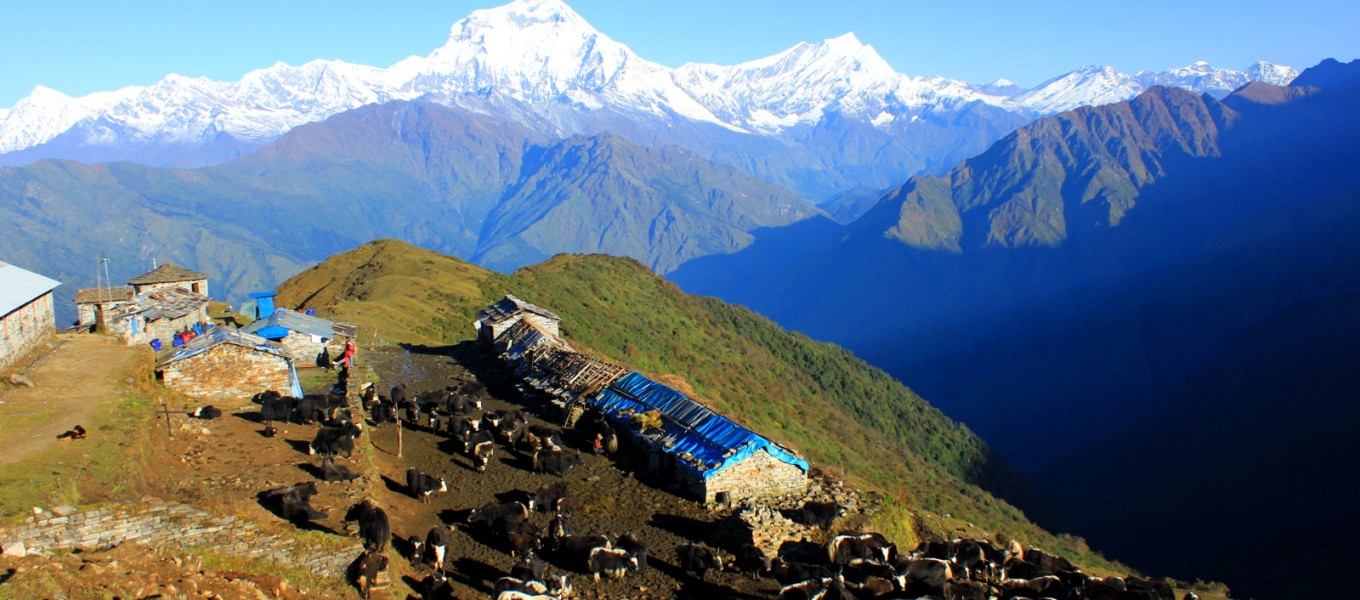 Dhaulagiri Circuit Trek