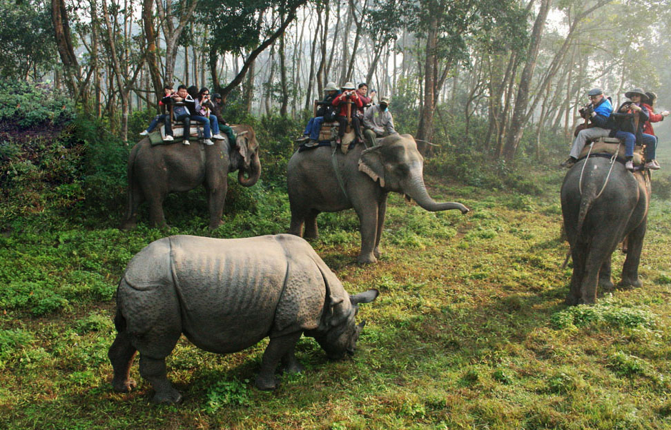 Jungle Lake and Temple Tour in Nepal | 9 Days Adventure
