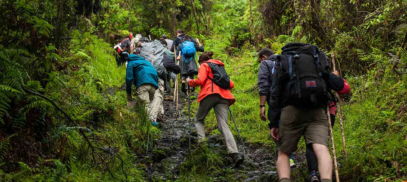 TREKKING_AND_HIKING