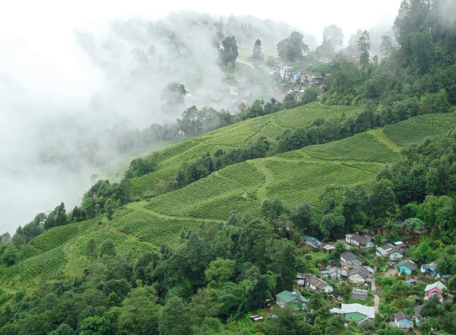 Darjeeling Sikkim Hill Tour