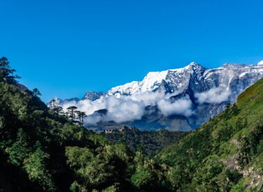 taste-of-nepal.