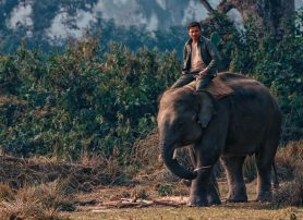 Top Reasons to Visit Nepal