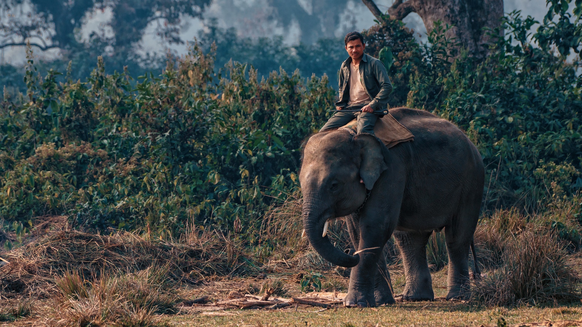 Top Reasons to Visit Nepal