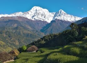 Annapurna Base Camp Trek vs Everest Base Camp Trek