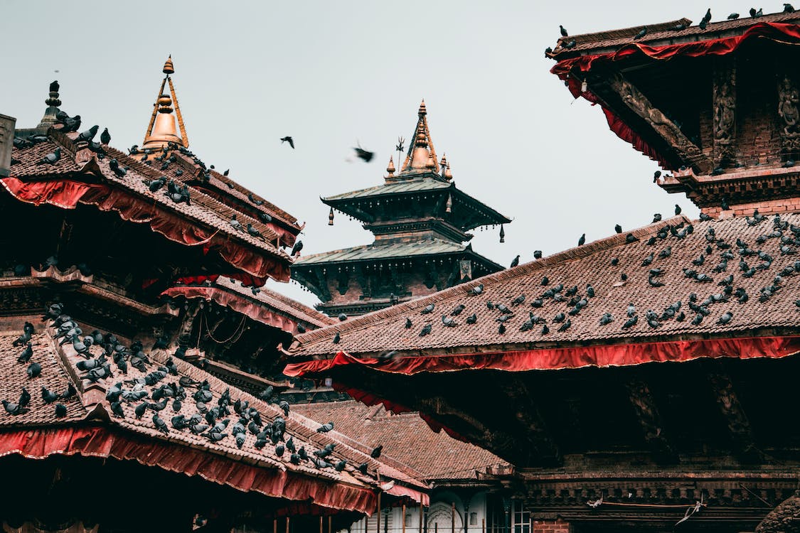 Best Tours near Kathmandu Valley