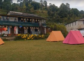 Hiking to Australian Camp: Your Comprehensive Trekking Guide